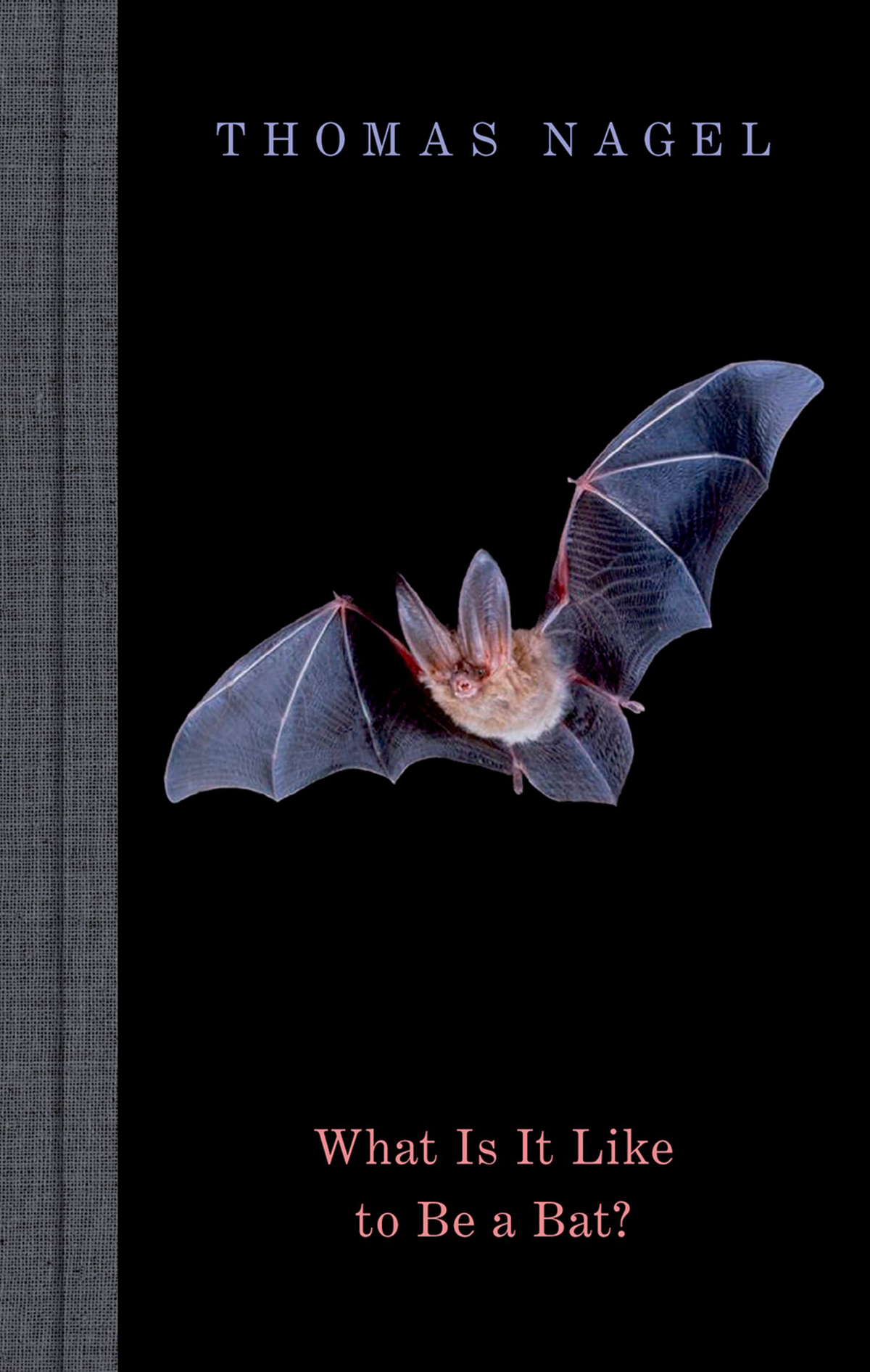 What is it like to be a bat?
